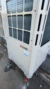 IMG 1800